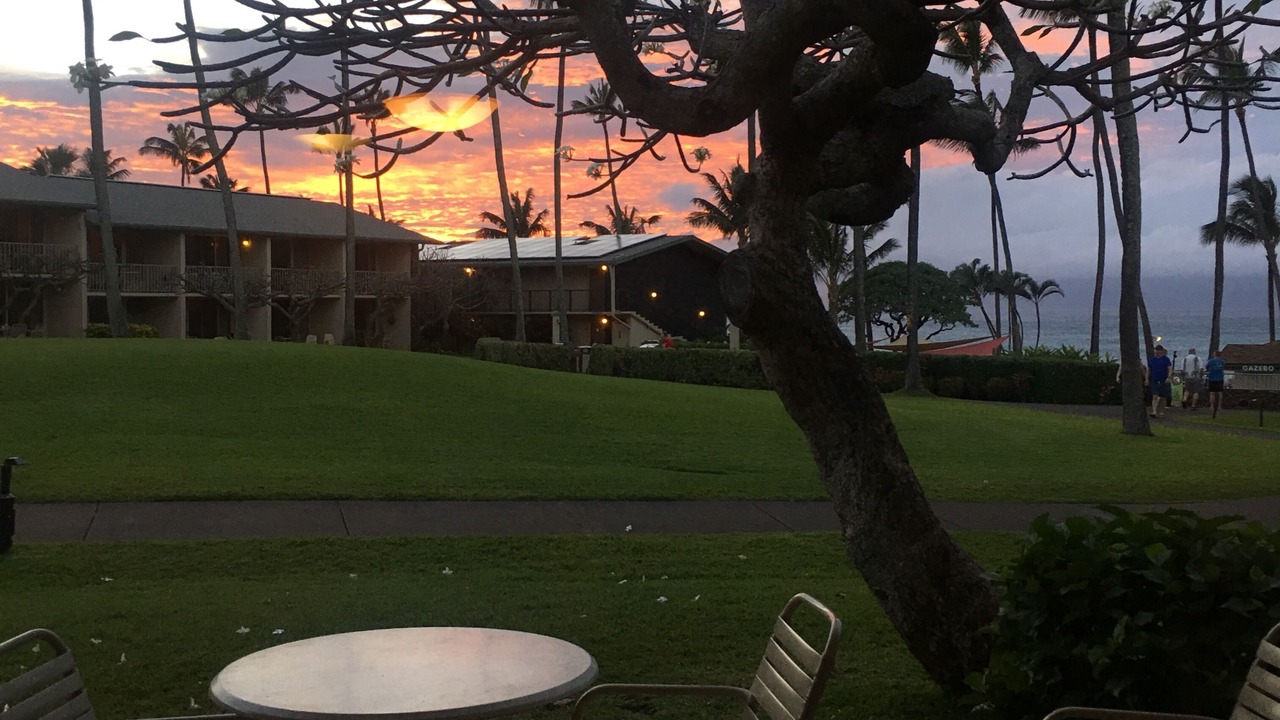 Photo of Others in Napili