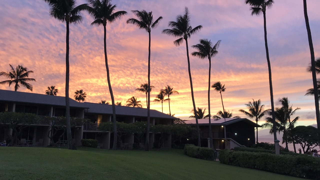 Photo of Others in Napili