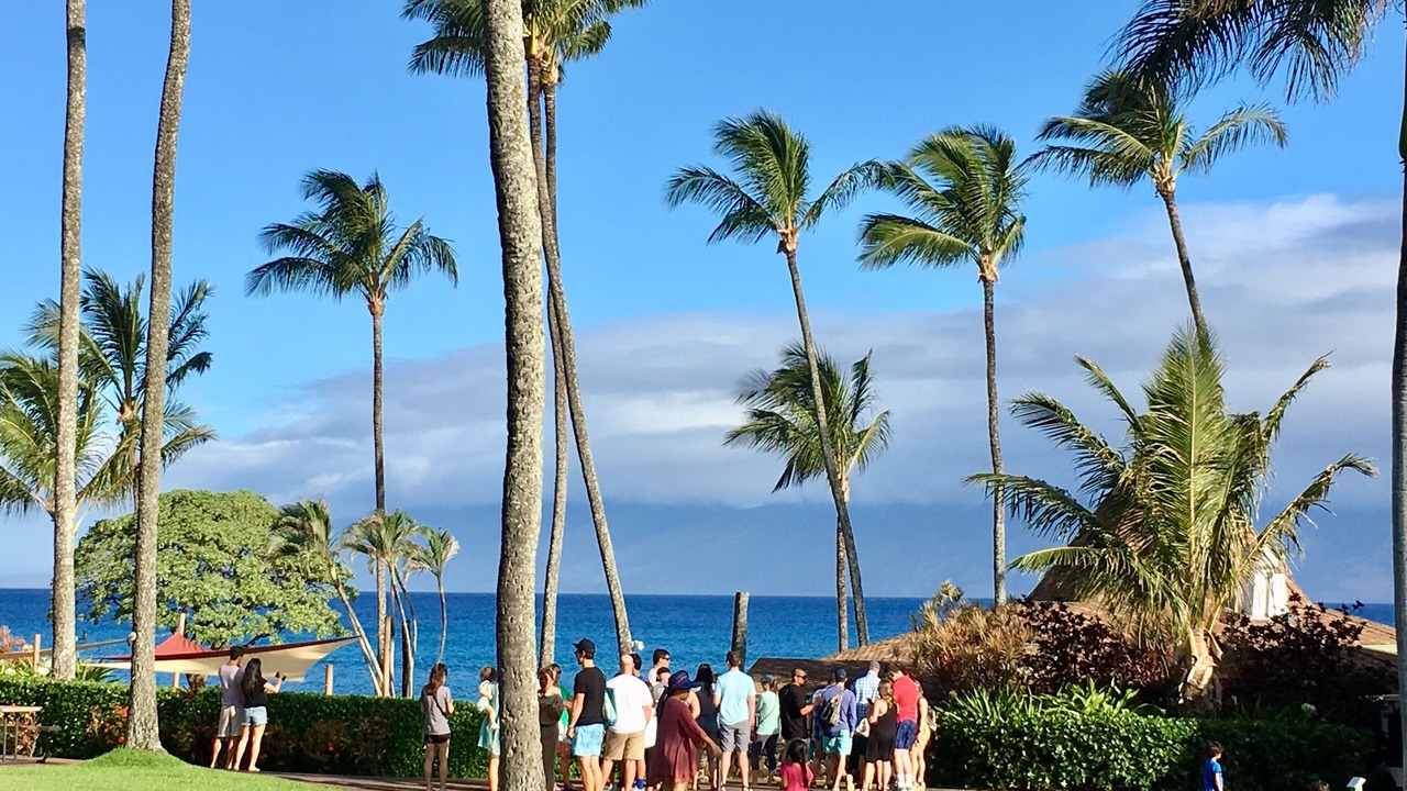Photo of Outdoor in Napili