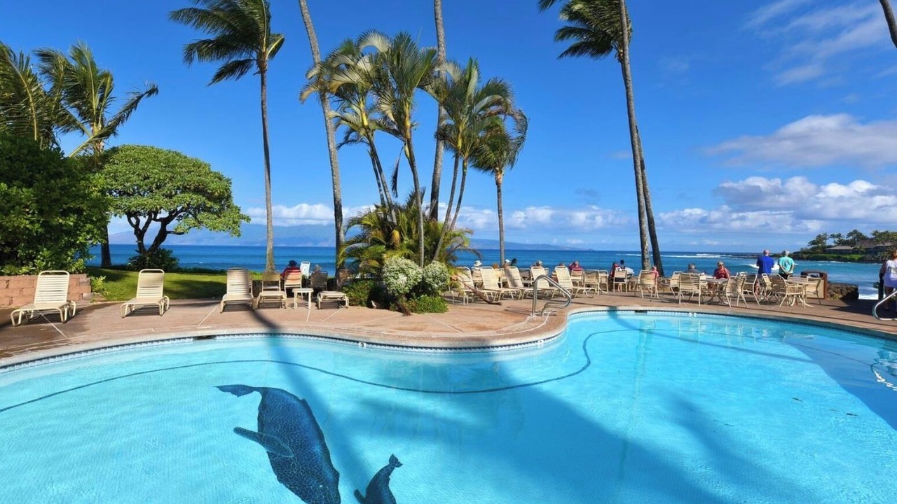 Photo of Others in Napili