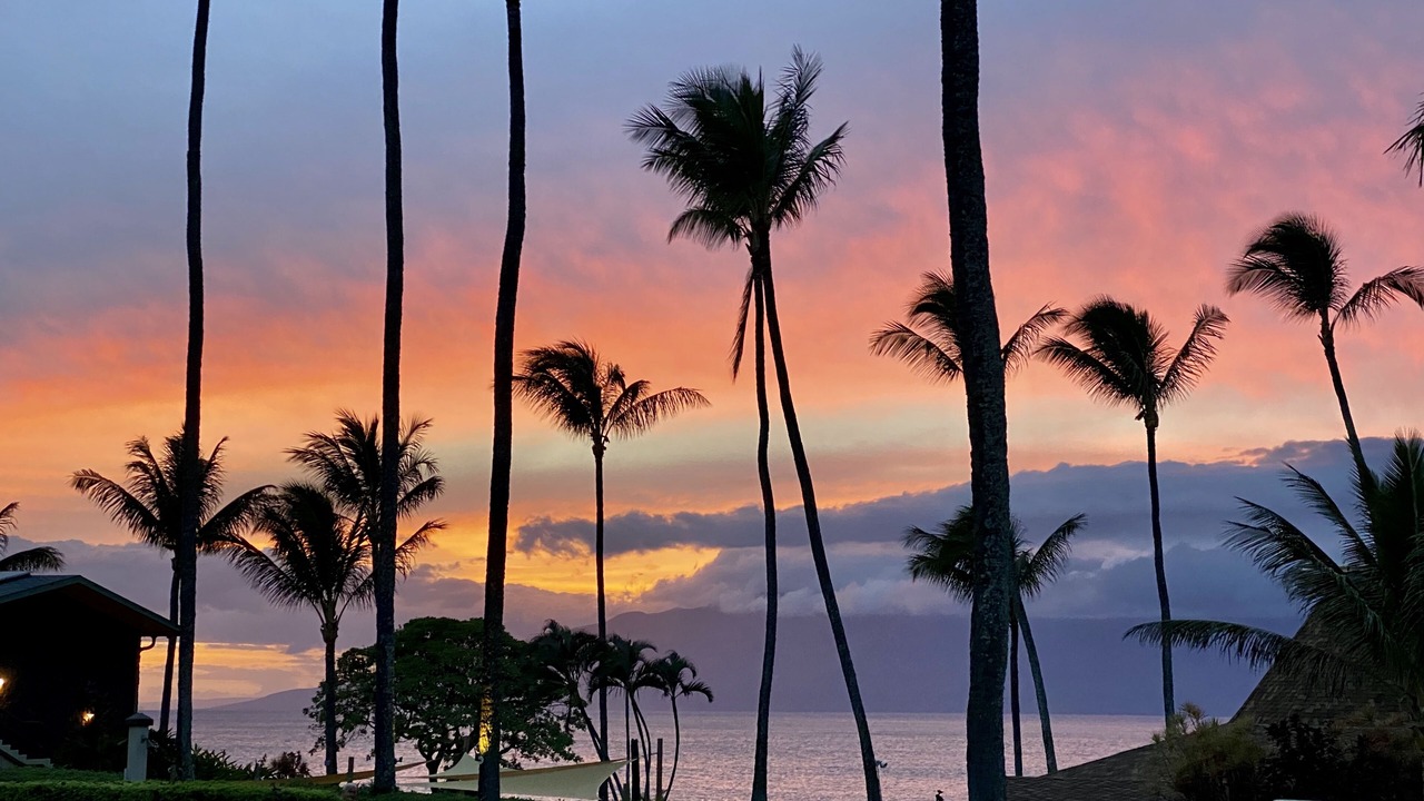 Photo of Others in Napili