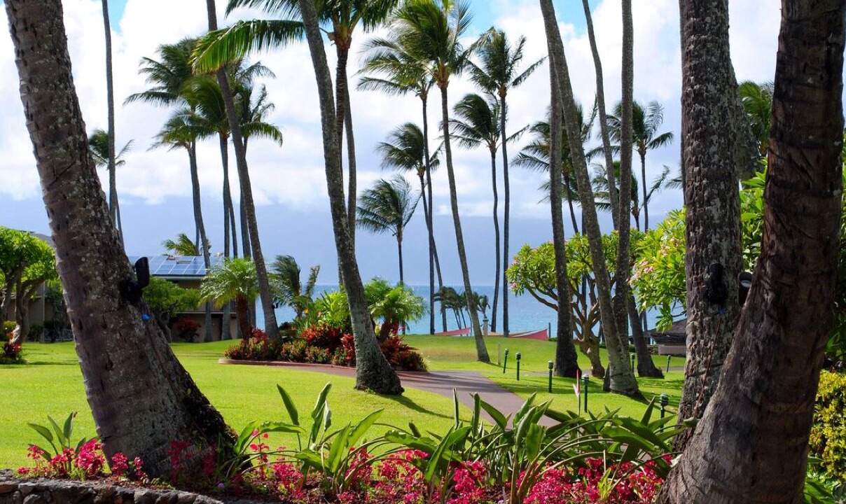 Photo of Outdoor in Napili