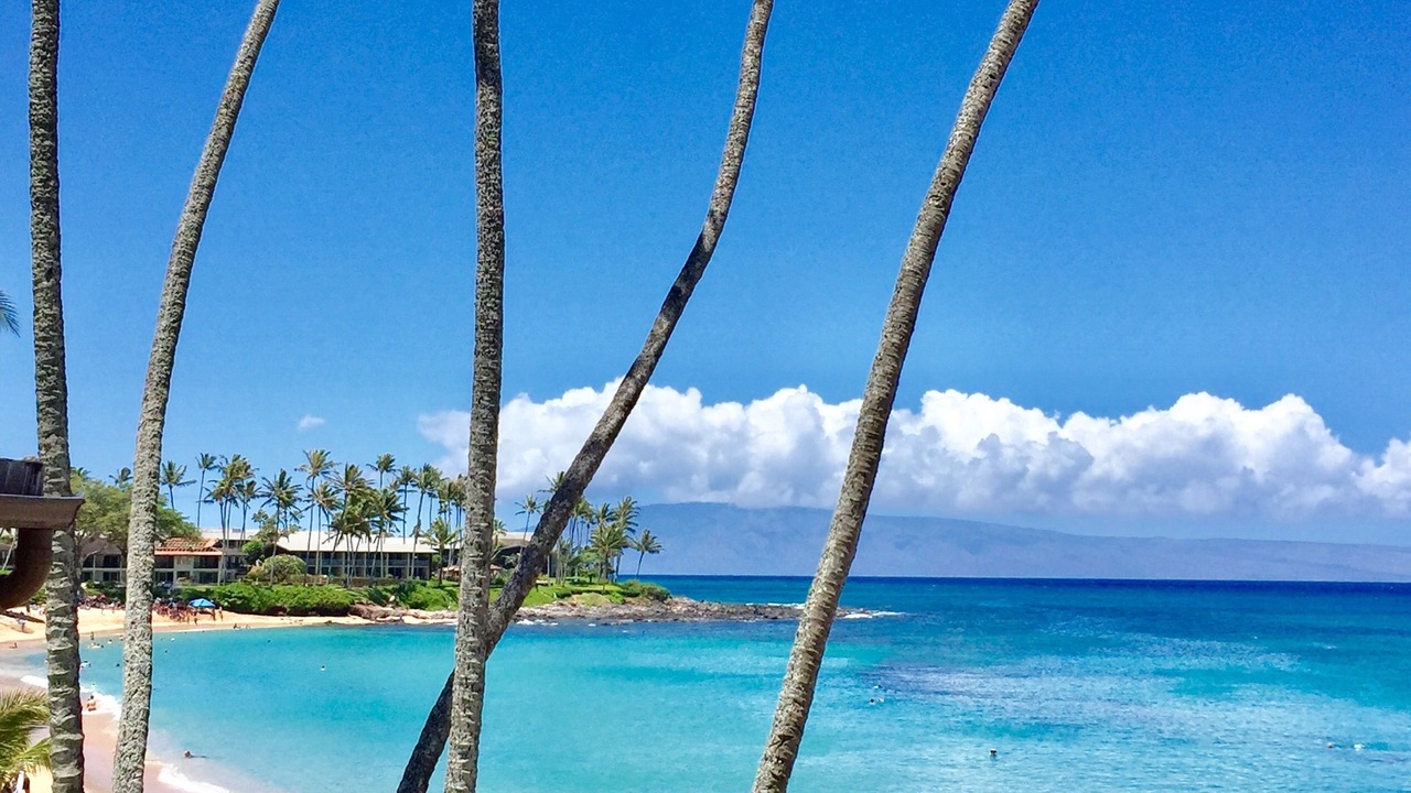 Photo of Others in Napili