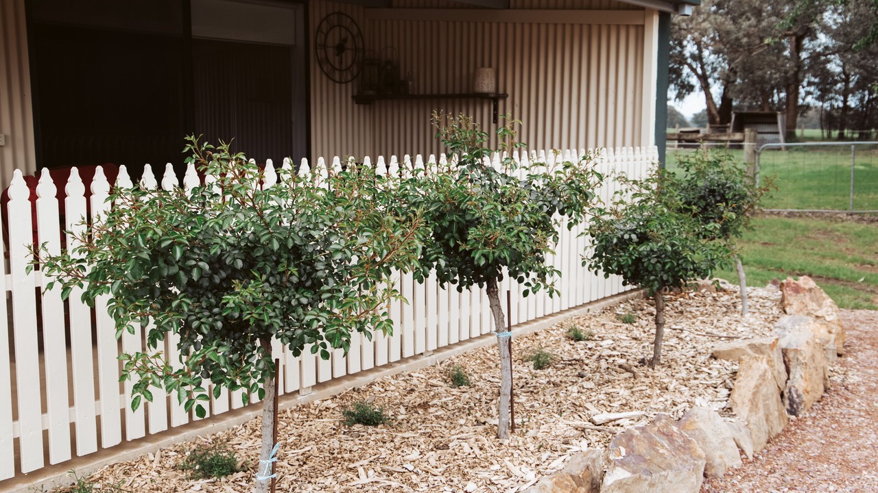Photo of Outdoor in Meadow Creek
