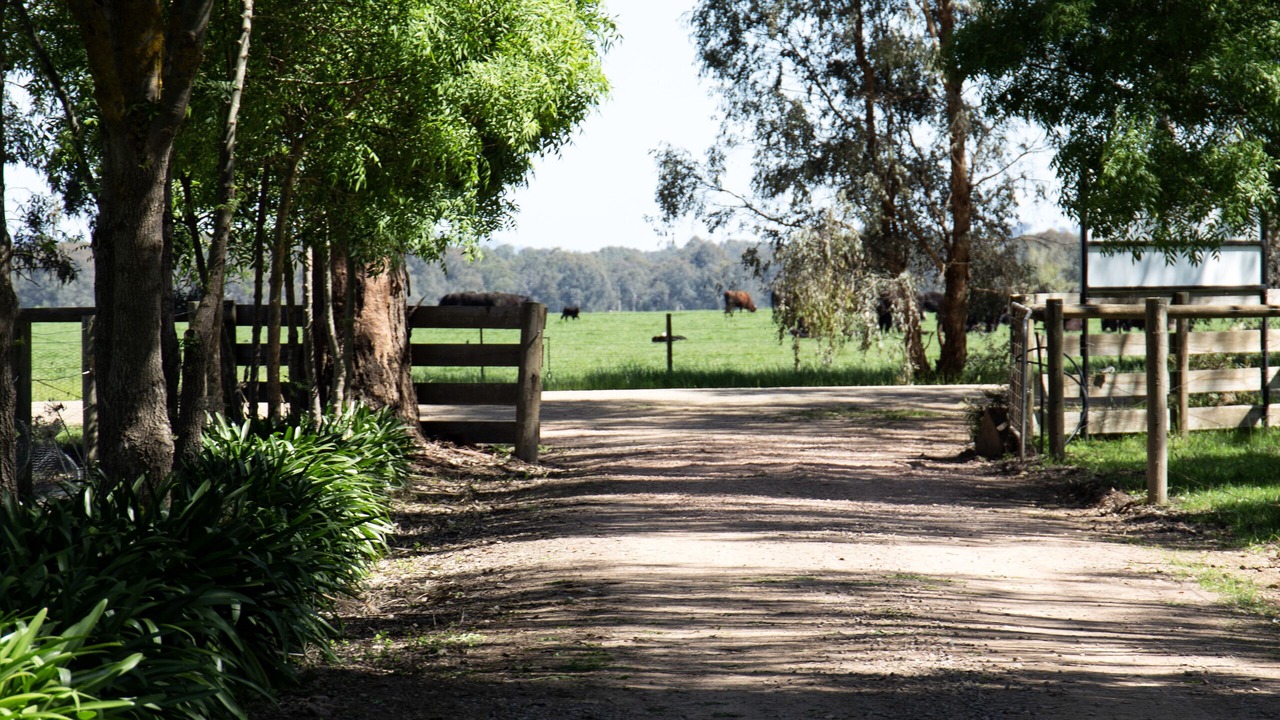 Photo of Outdoor in Meadow Creek
