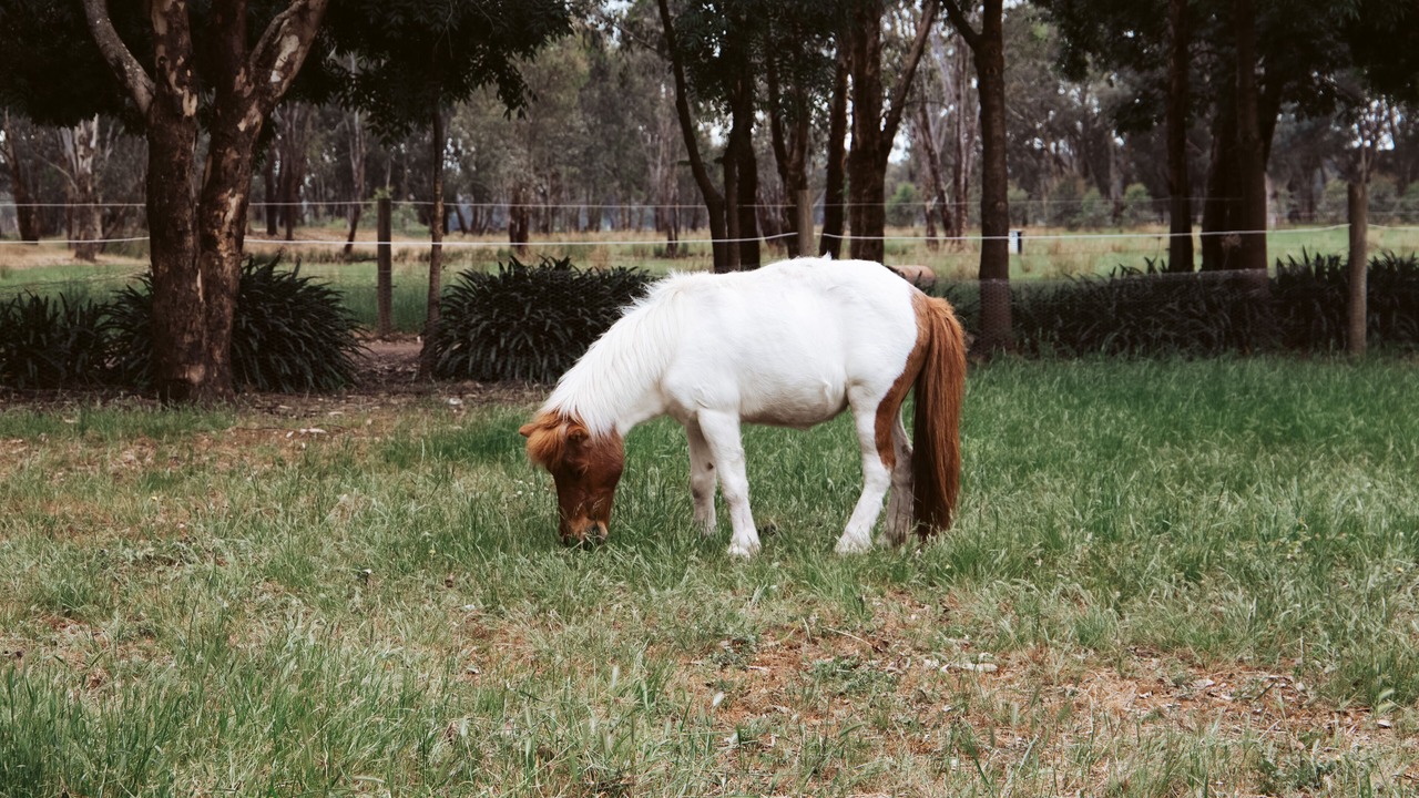 Photo of Others in Meadow Creek