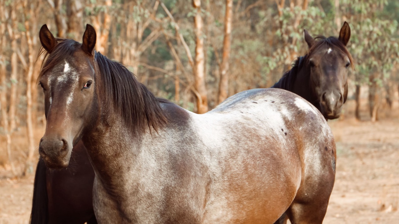 Photo of Others in Meadow Creek