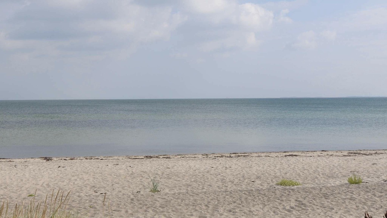Photo of Others in Jørgensø