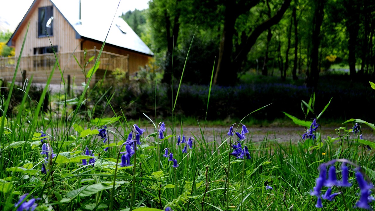 Photo of Outdoor in West Laroch