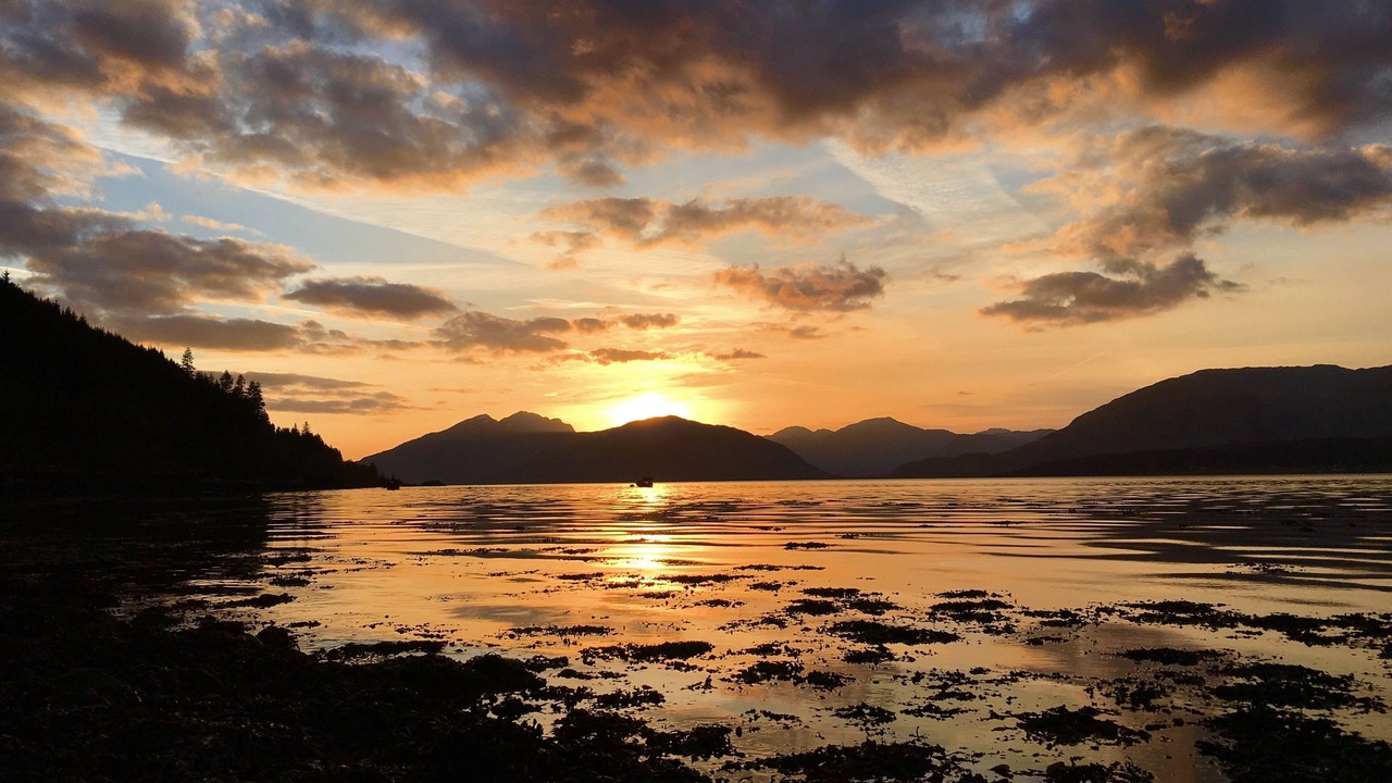 Photo of Others in West Laroch