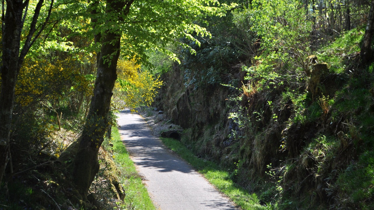 Photo of Outdoor in West Laroch