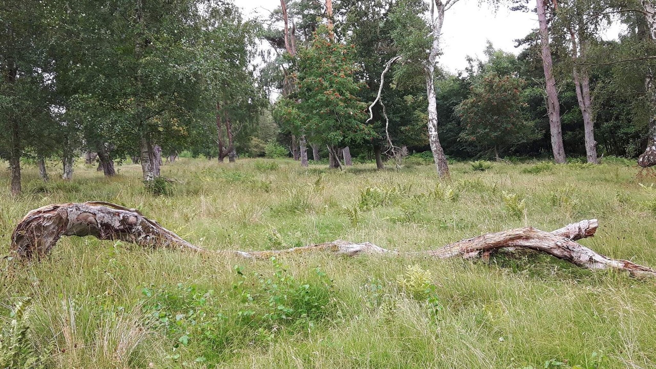 Photo of Others in Bøtø By
