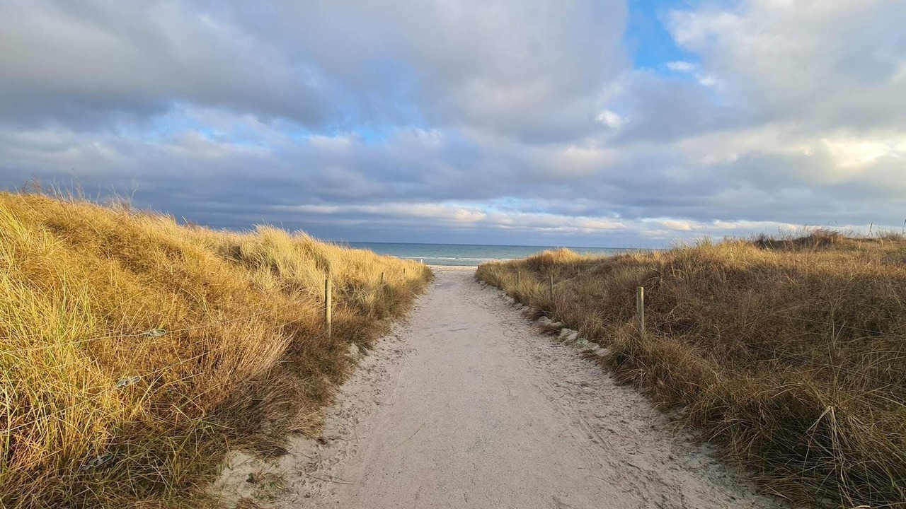 Photo of Others in Bøtø By
