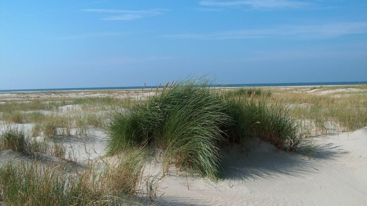 Photo of Others in Sønderstrand