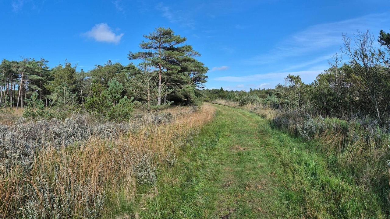 Photo of Others in Sønderstrand