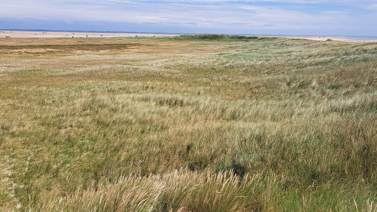 Photo of Others in Sønderstrand