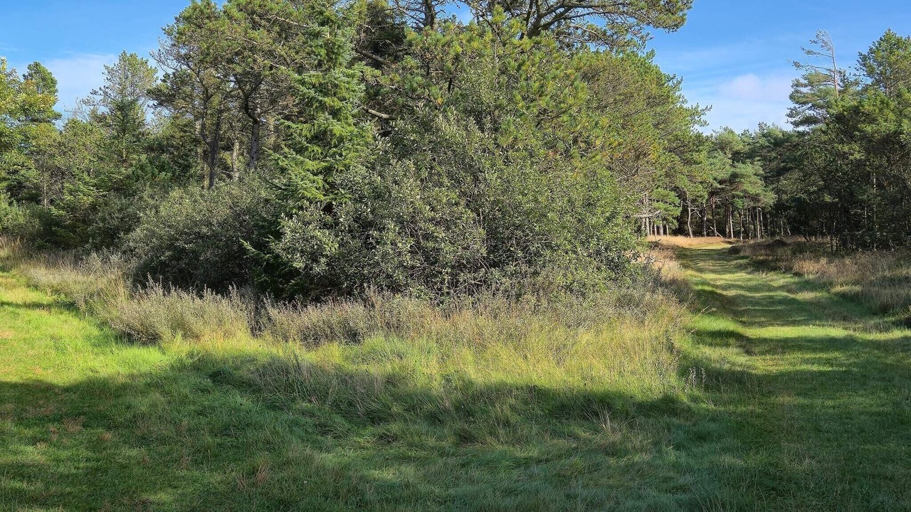 Photo of Others in Sønderstrand