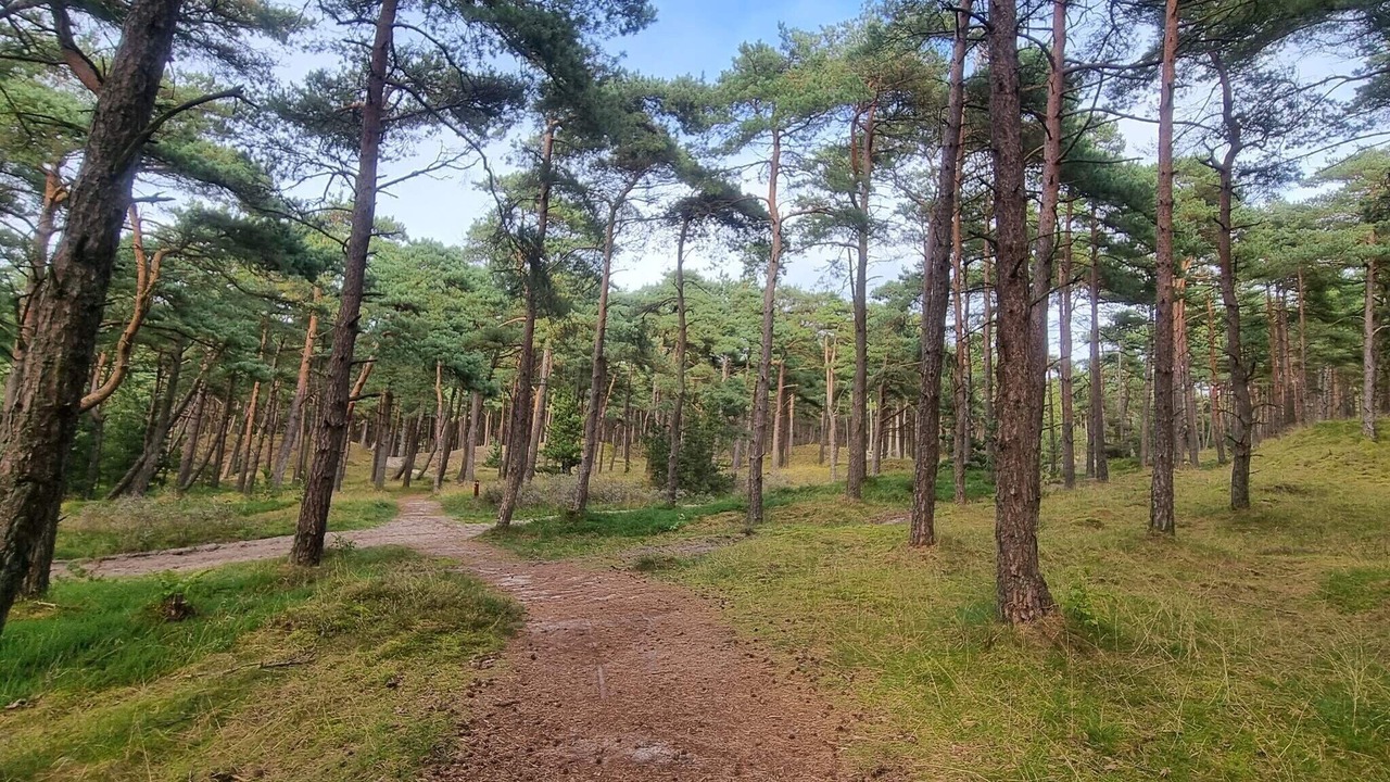 Photo of Others in Sønderstrand