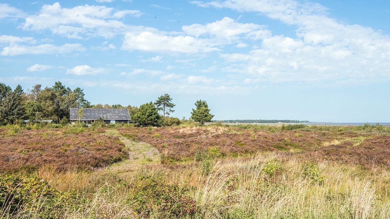Photo of Others in Sønderstrand