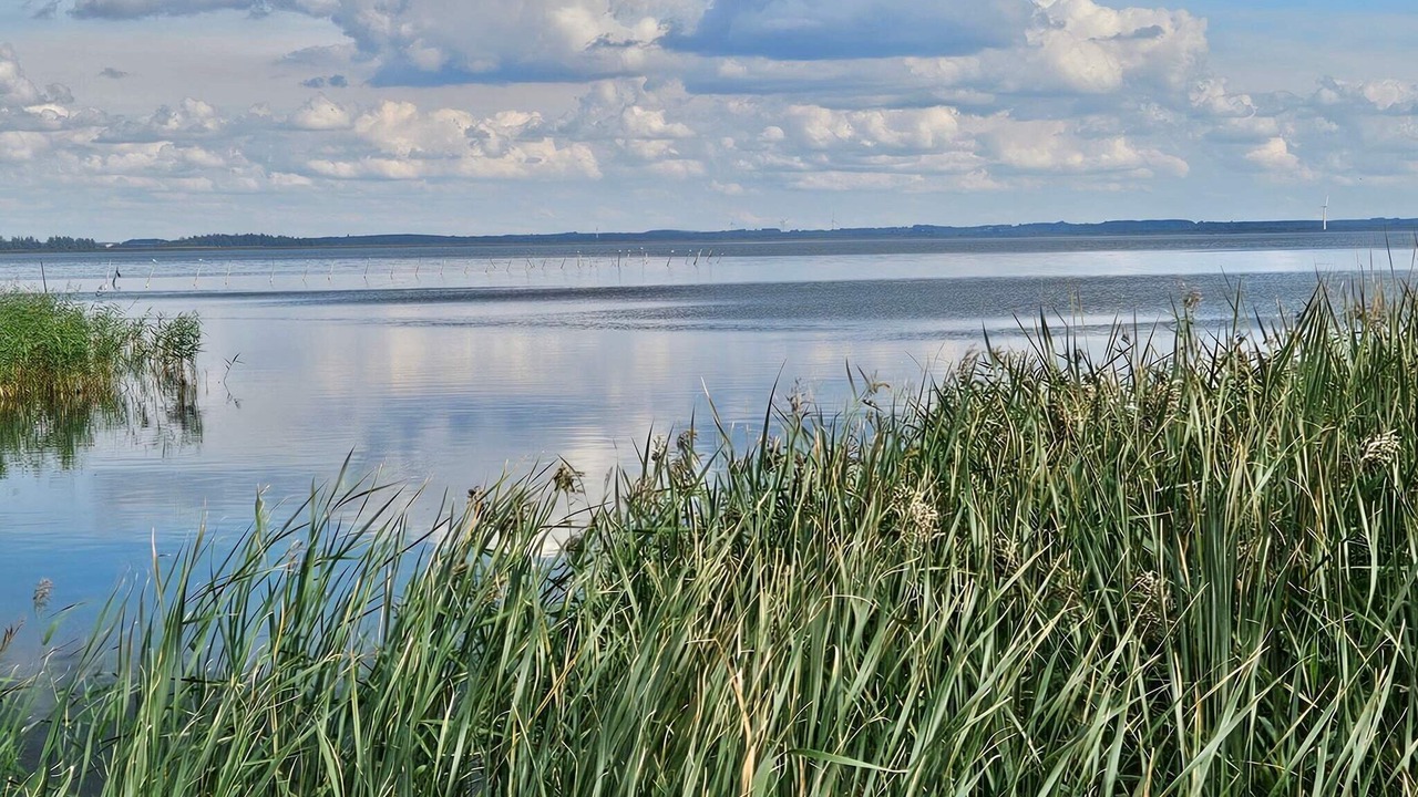 Photo of Others in Nørre Fjand