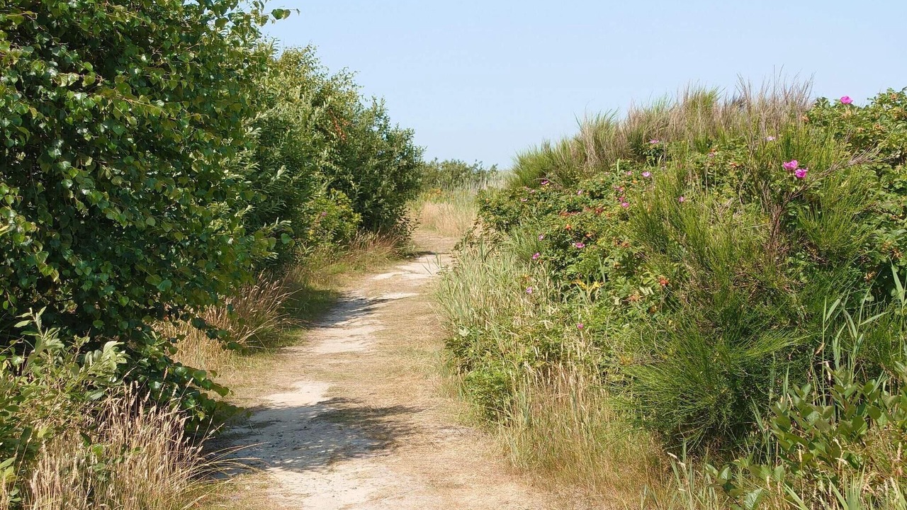 Photo of Others in Nørre Fjand