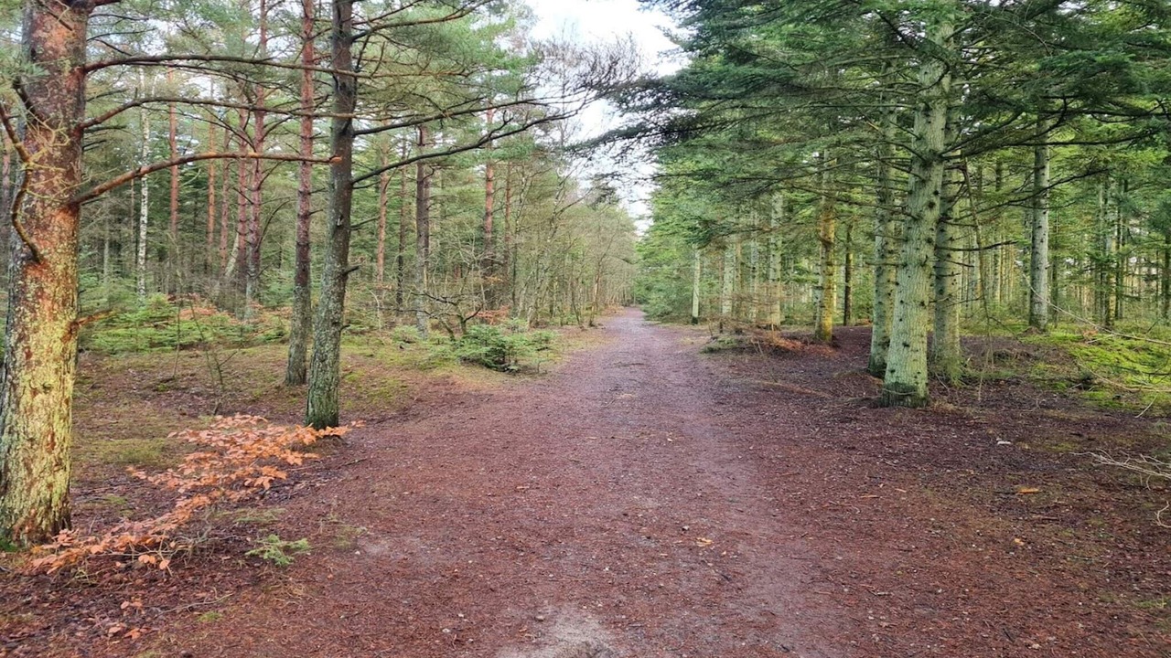 Photo of Others in Aalbaek