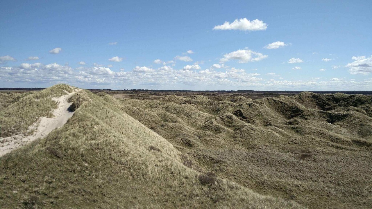 Photo of Others in Rødhus