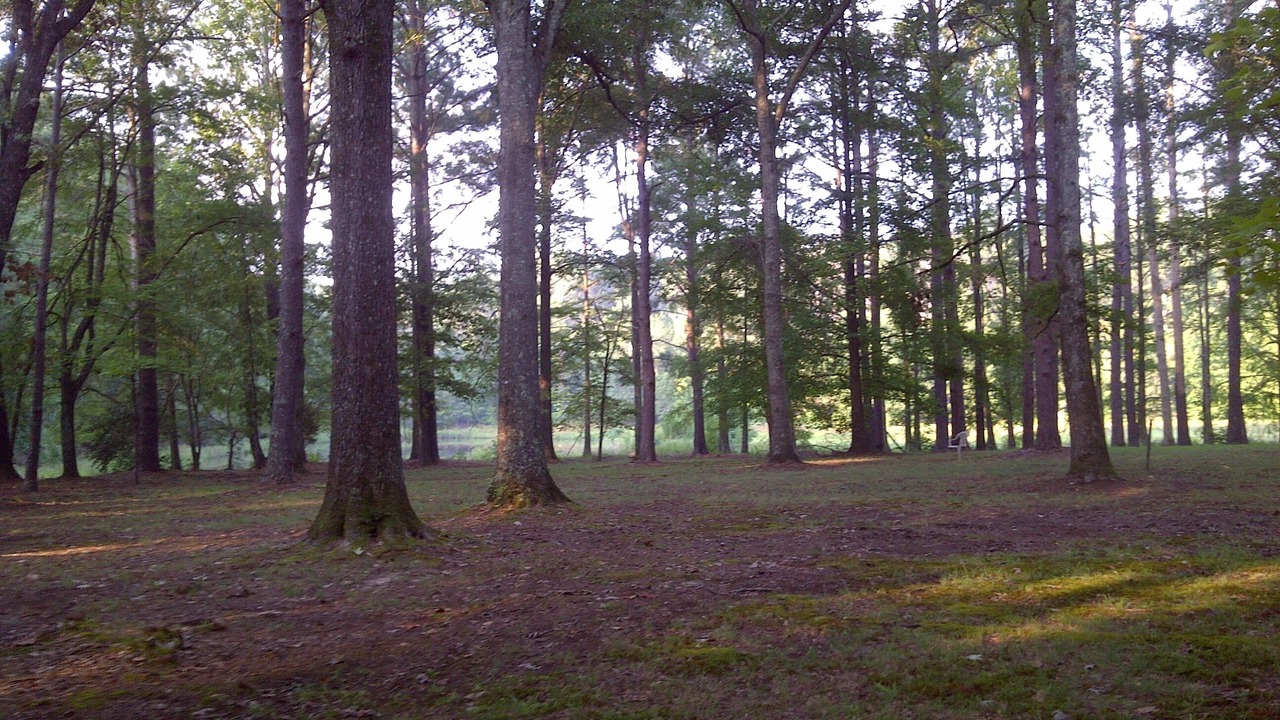 Photo of Outdoor in Pheba