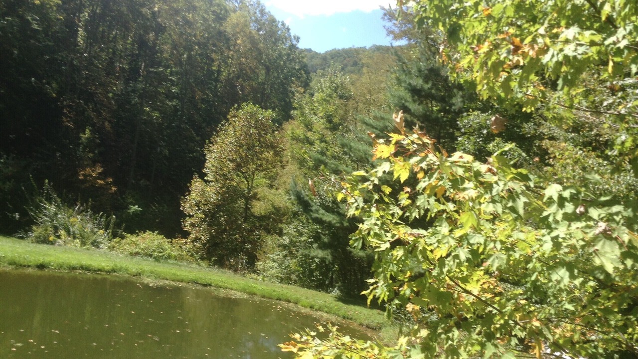 Photo of Others in Roan Mountain