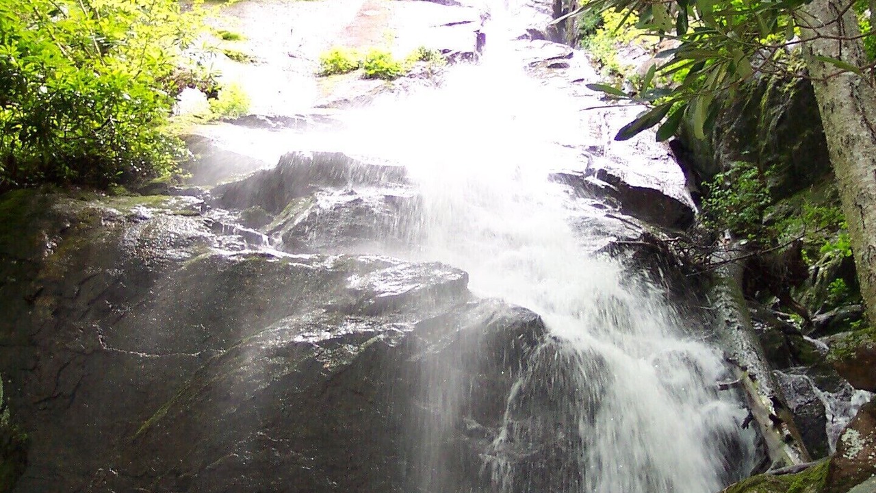 Photo of Others in Roan Mountain