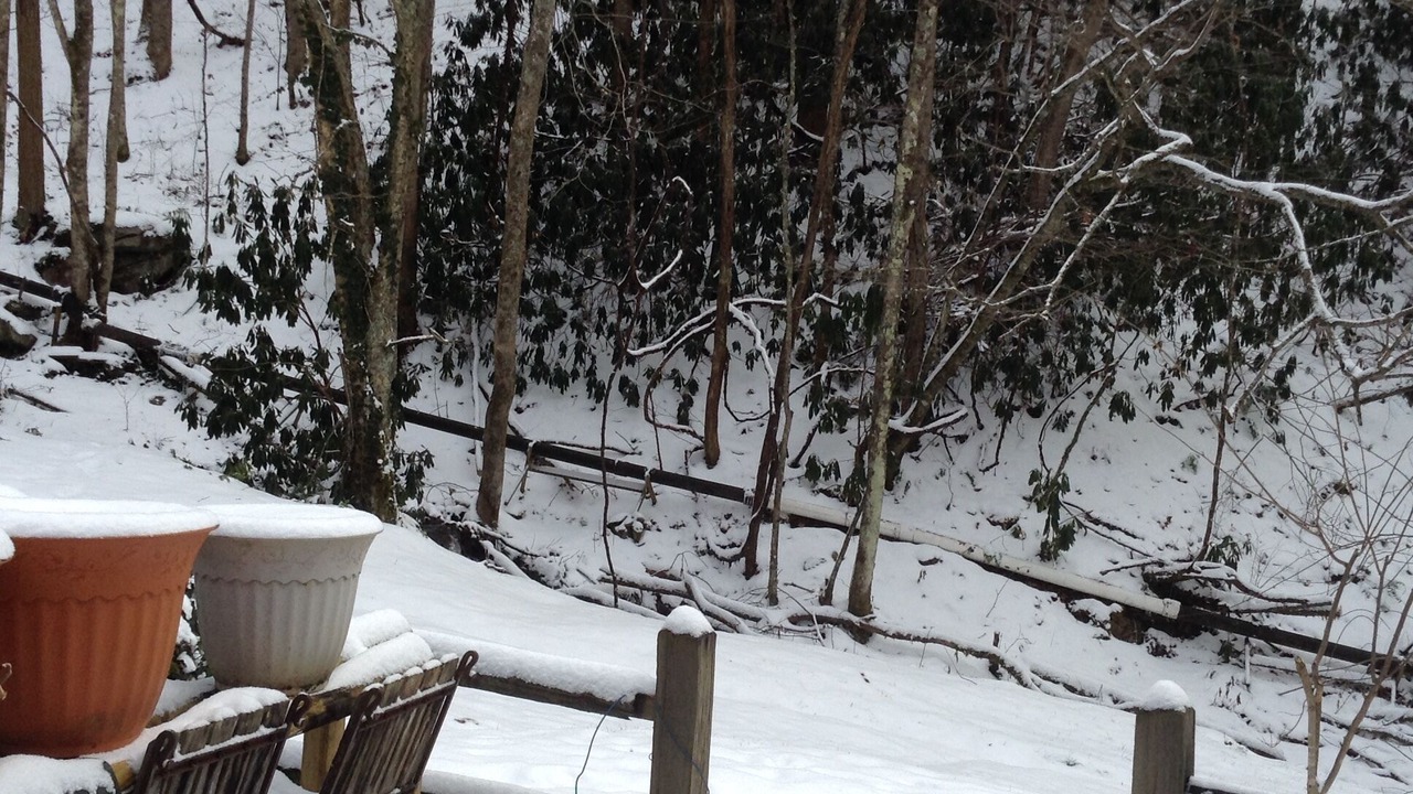 Photo of Livingroom in Roan Mountain