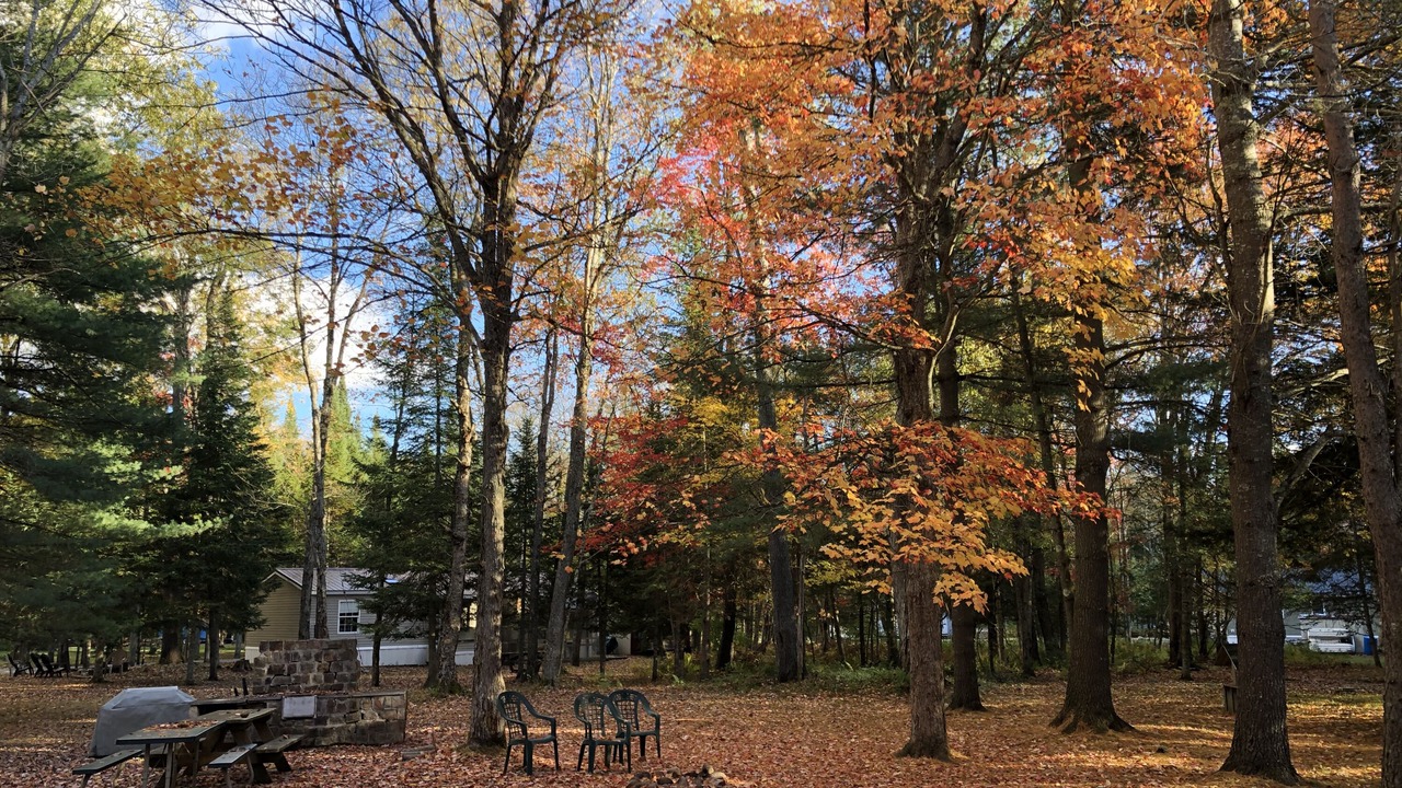 Photo of Outdoor in Woodgate