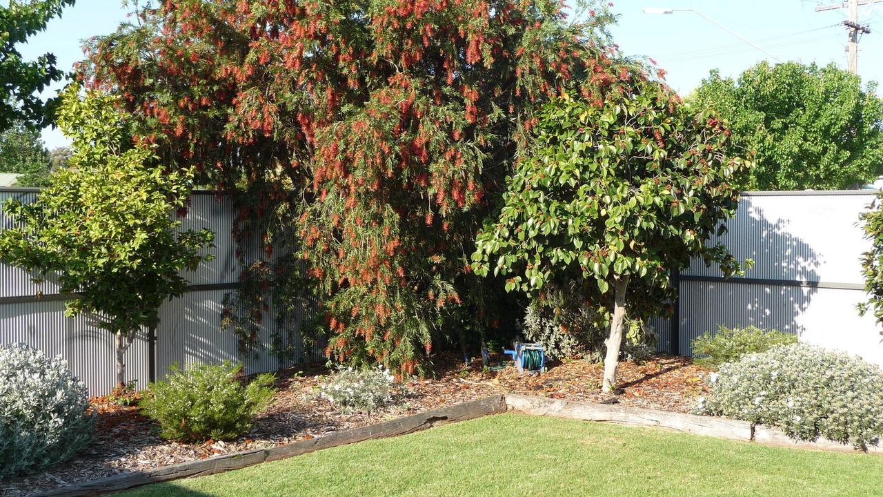 Photo of Outdoor in Shepparton South