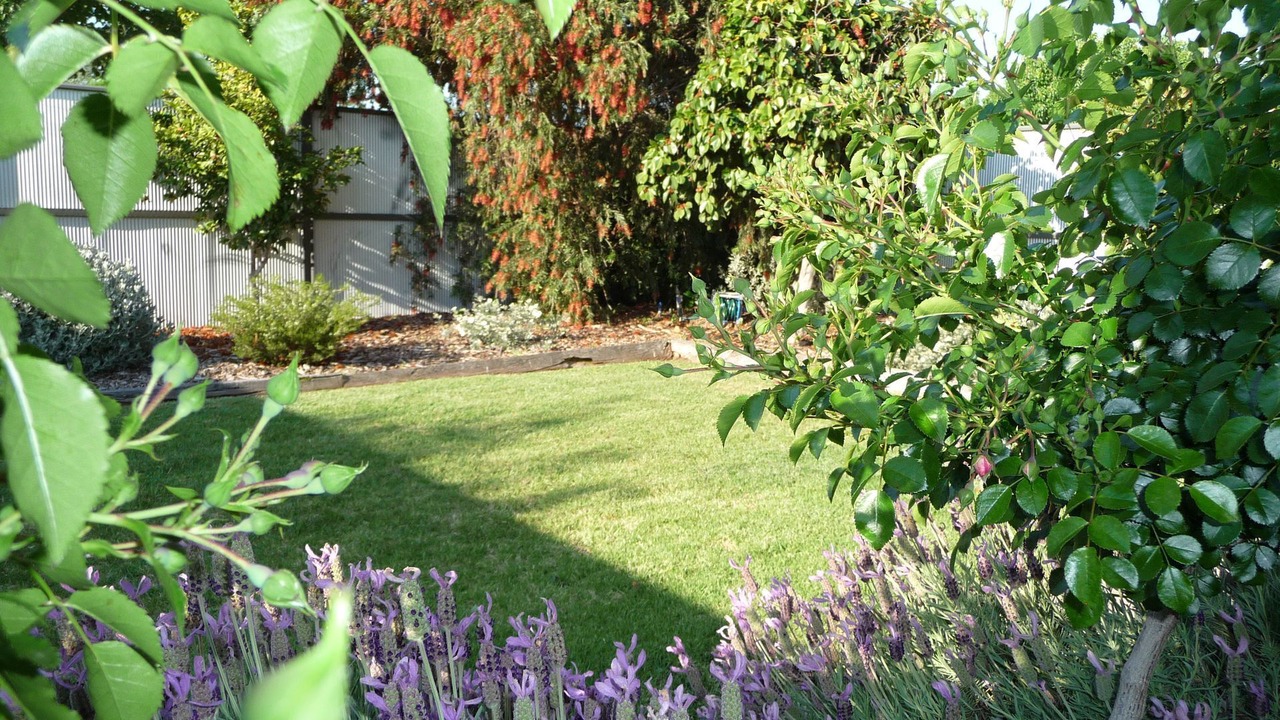 Photo of Outdoor in Shepparton South