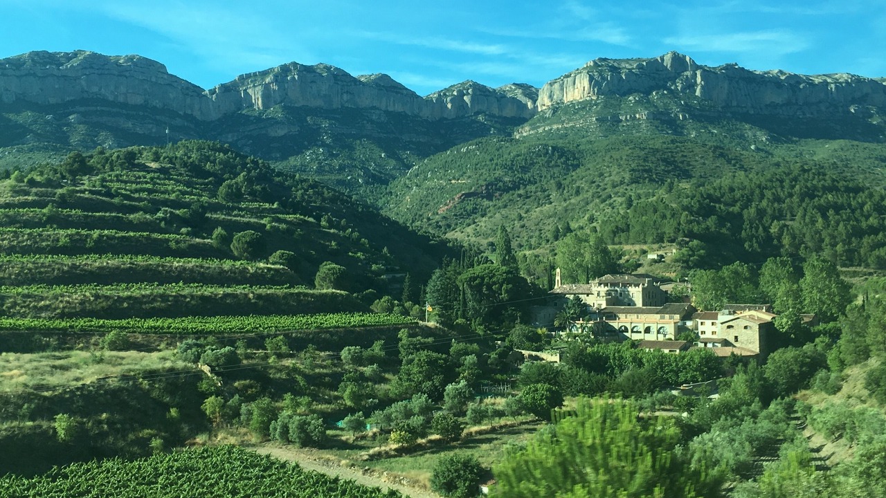 Photo of Outdoor in Pontons