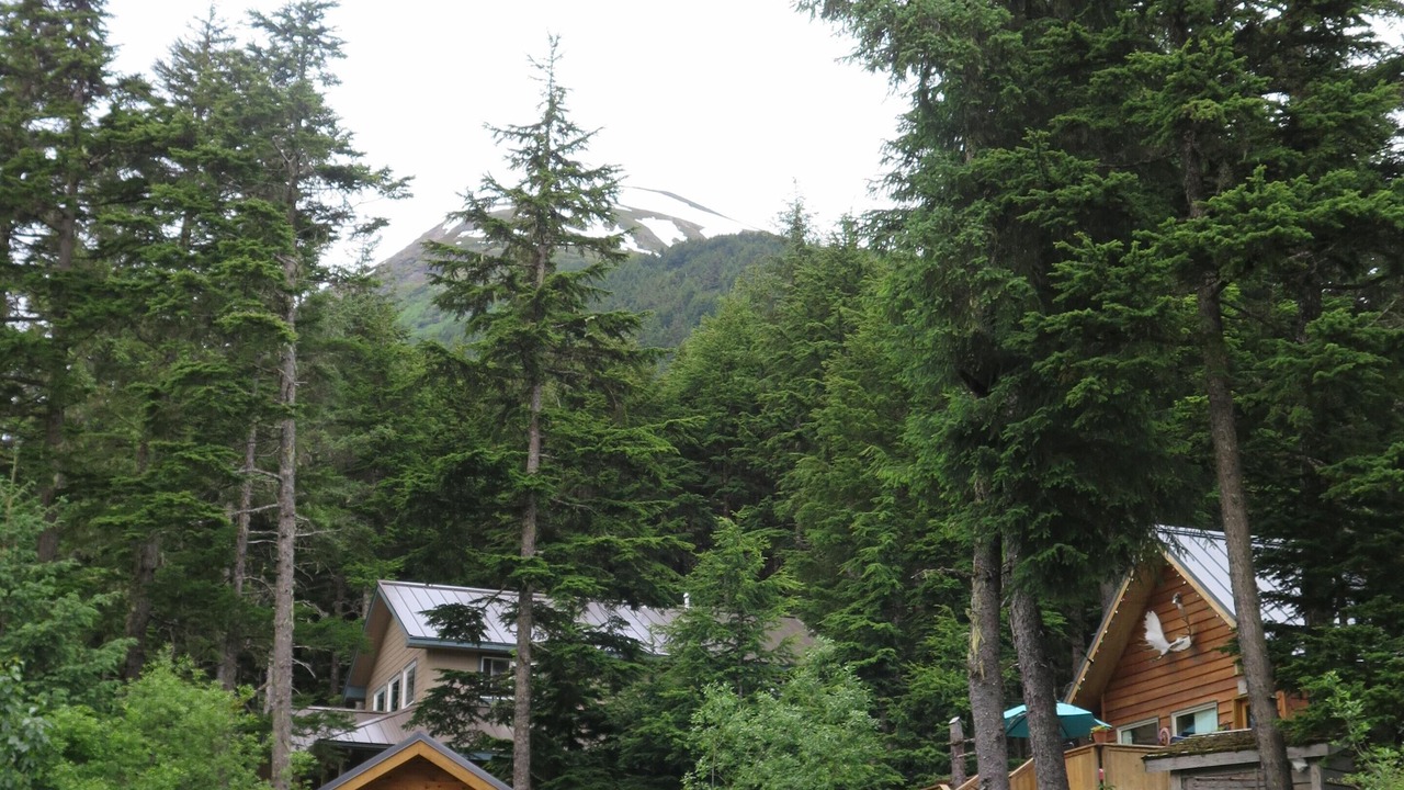 Photo of Outdoor in Alyeska