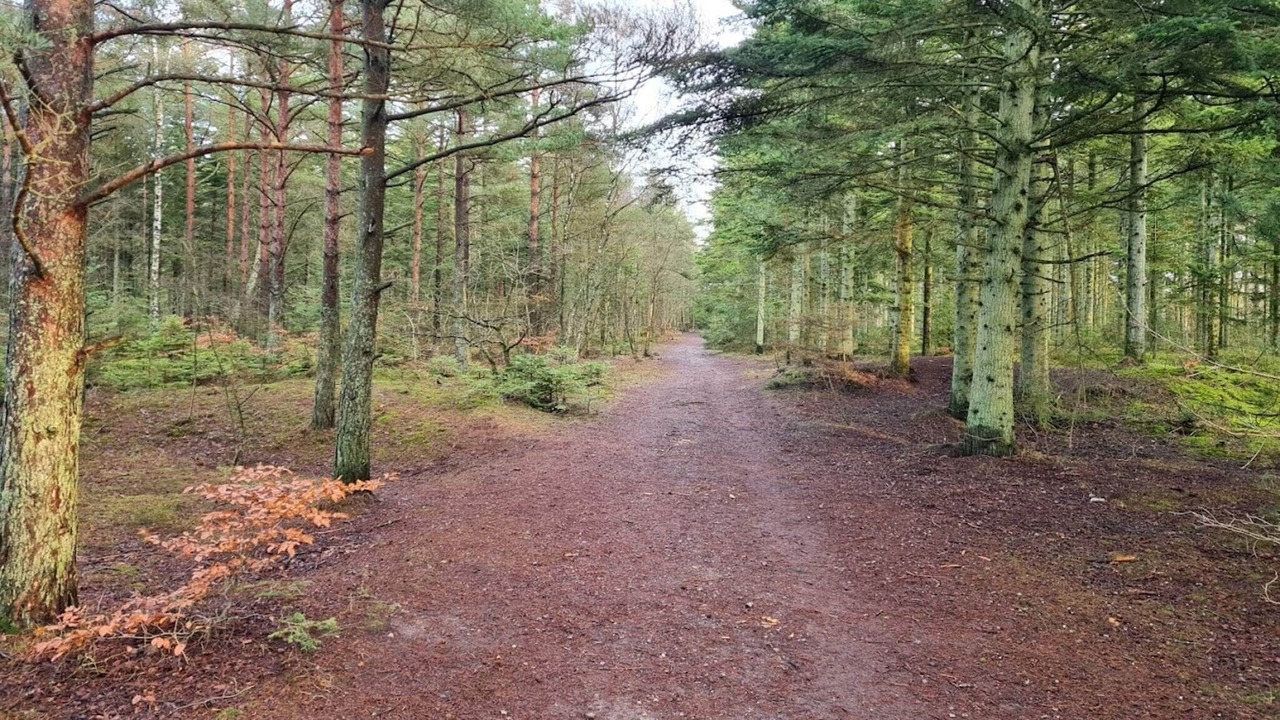 Photo of Others in Aalbaek