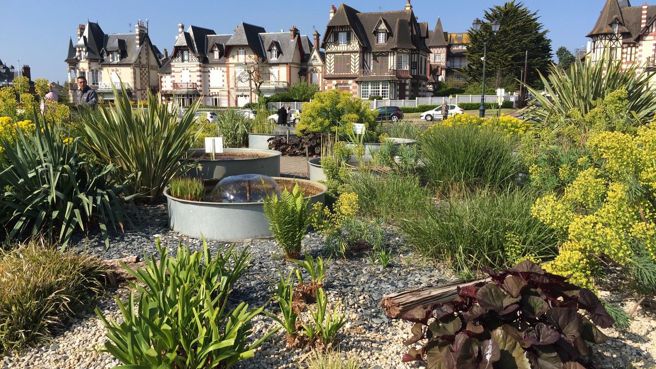 Photo of Outdoor in Cabourg
