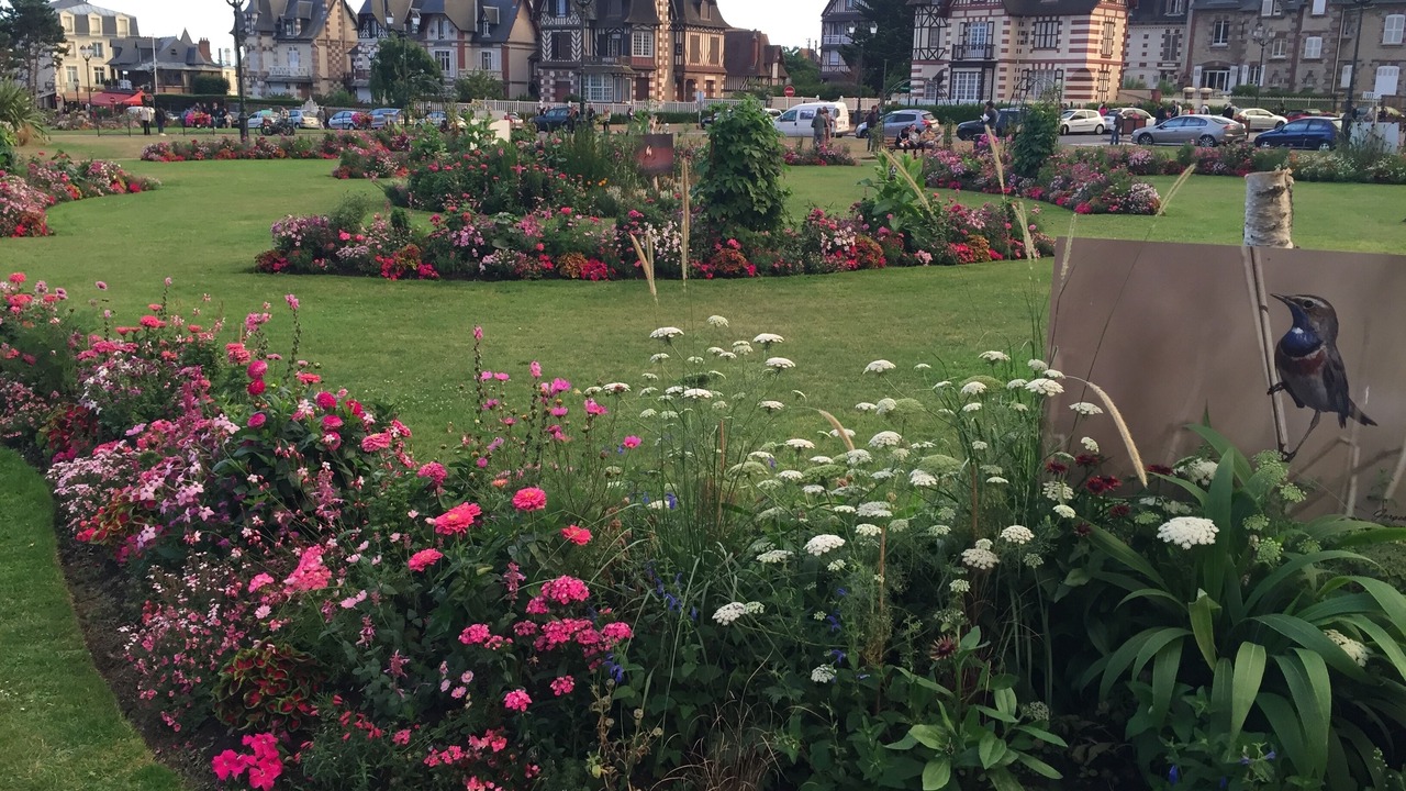 Photo of Outdoor in Cabourg