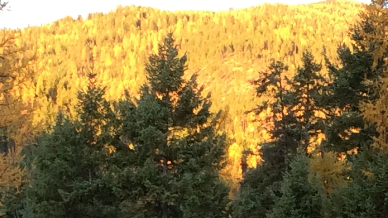 Photo of Outdoor in Somers