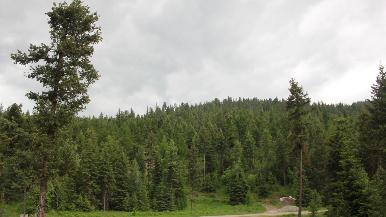 Photo of Others in Somers