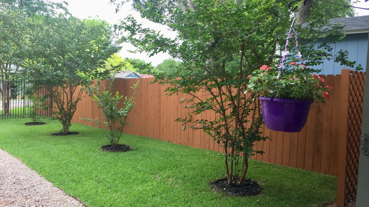 Photo of Outdoor in Austin Lake Estates