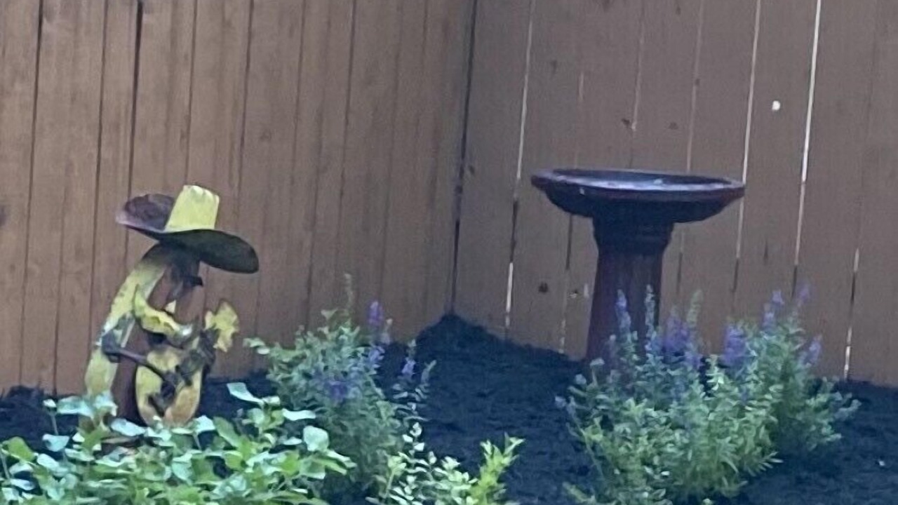 Photo of Others in Austin Lake Estates
