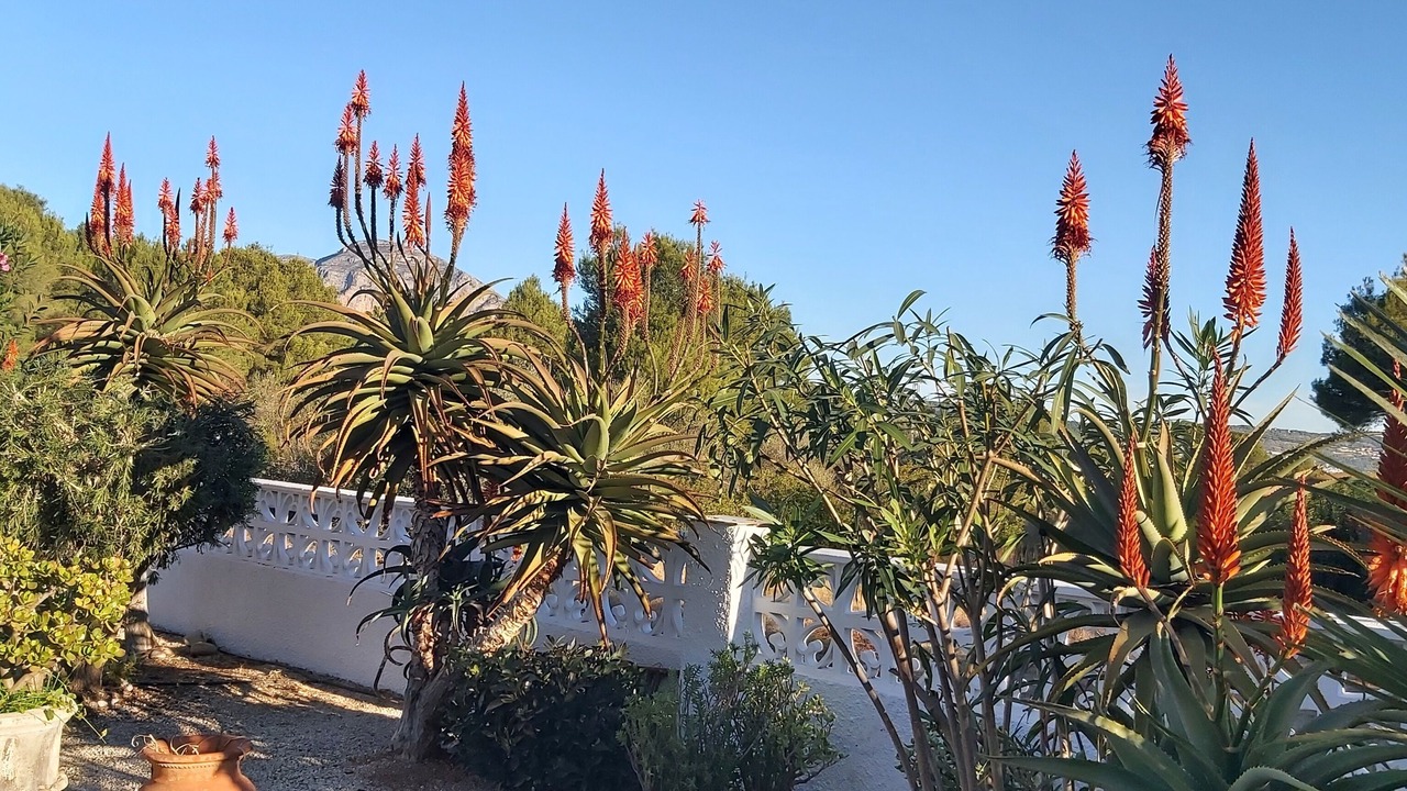 Photo of Outdoor in Tarraula