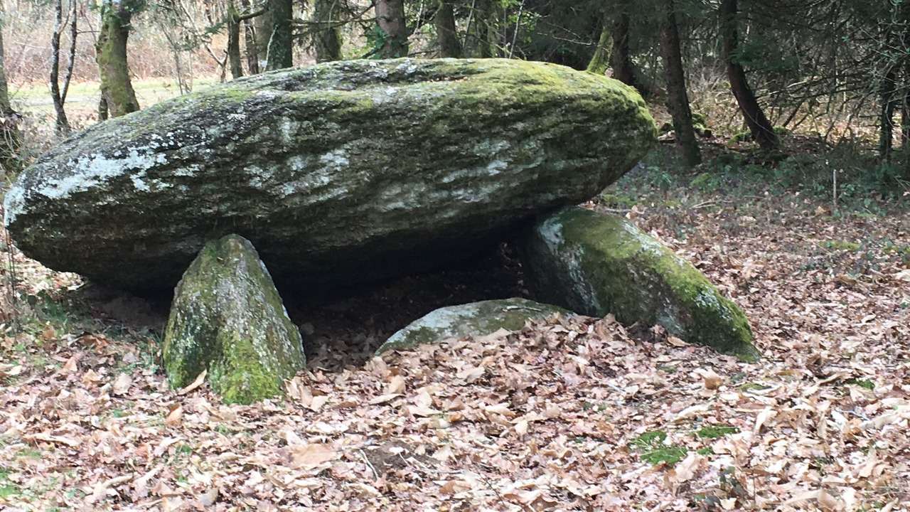 Photo of Outdoor in Chalais