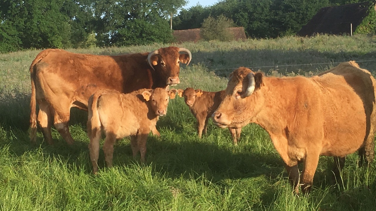 Photo of Outdoor in Chalais