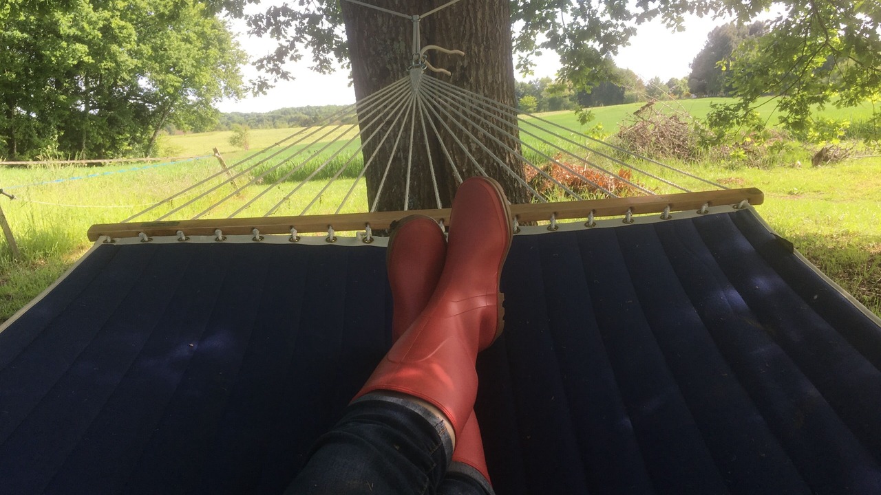 Photo of Others in Chalais