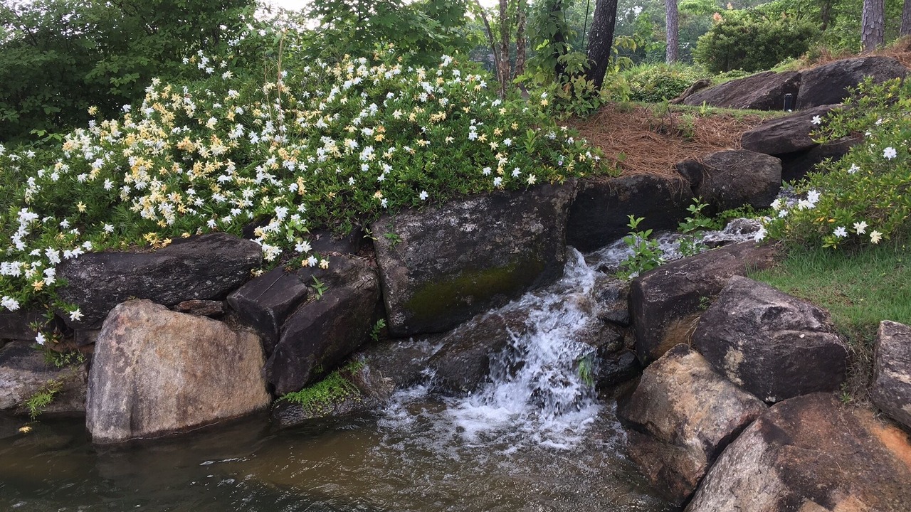 Photo of Others in Dadeville