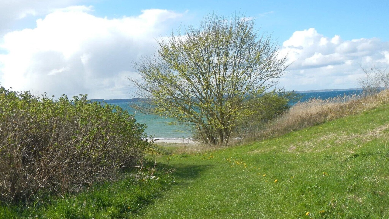 Photo of Others in Vedelshave