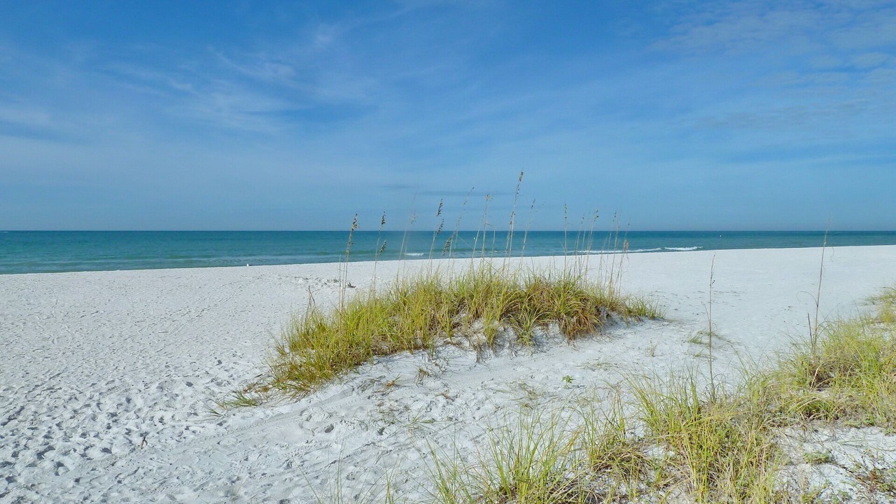 Photo of Others in North Redington Beach